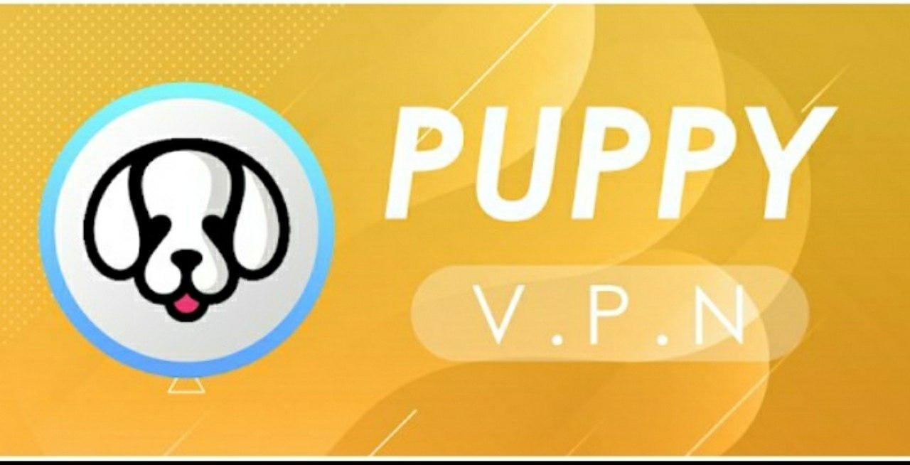 اقوى تطبيق VPN في العالم تطبيق يستخدمها الغرب PUPPY تعرف على هذه العملاق